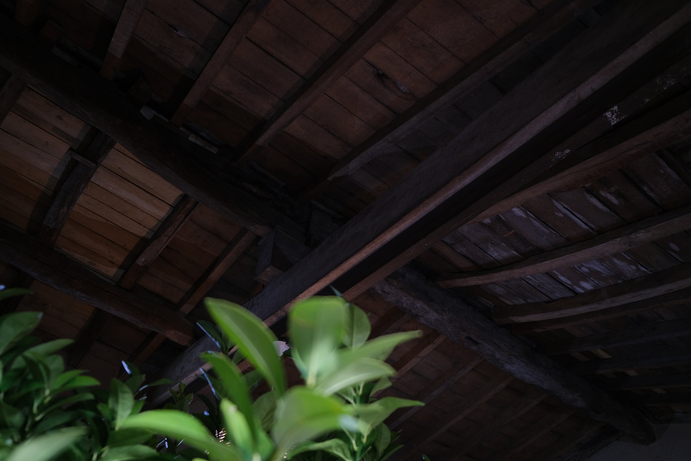 The Study of Light